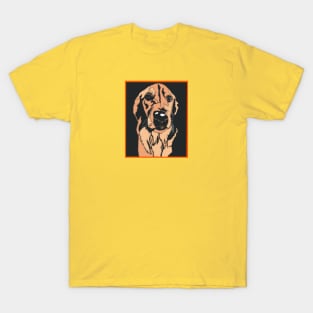 Golden T-Shirt